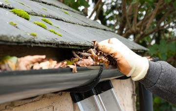 gutter cleaning Towns End