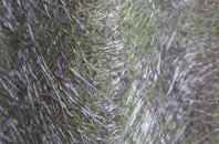 Towns End fibreglass roof work